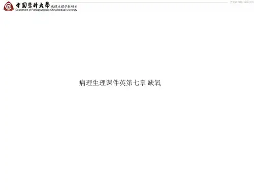 病理生理课件英第七章 缺氧