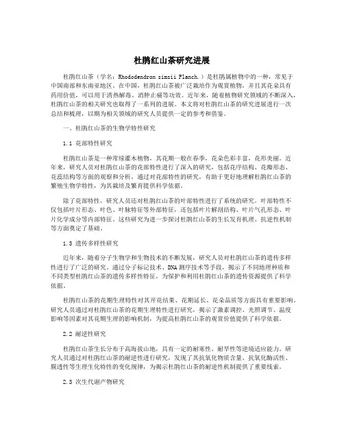 杜鹃红山茶研究进展