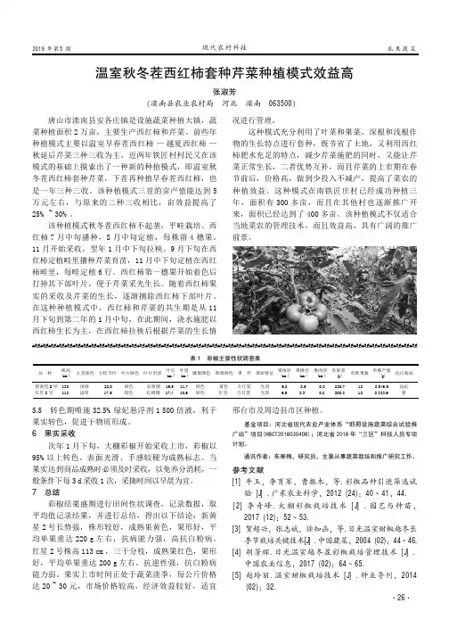 温室秋冬茬西红柿套种芹菜种植模式效益高