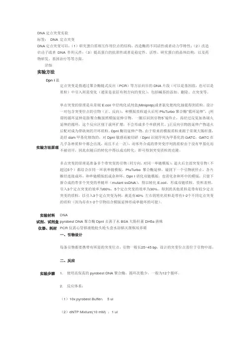 DNA定点突变实验