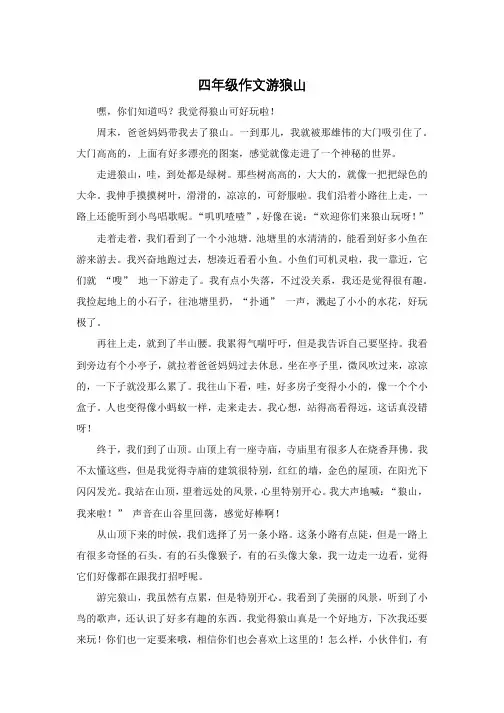 四年级作文游狼山