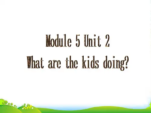 外研版二年级英语下册Module5Unit2Whatarethekidsplaying课件5