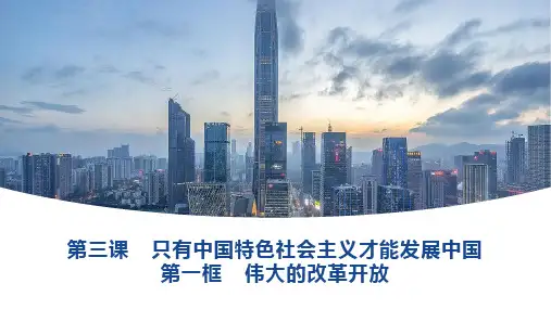 高中政治统编版必修一伟大的改革开放课件(共35张PPT)