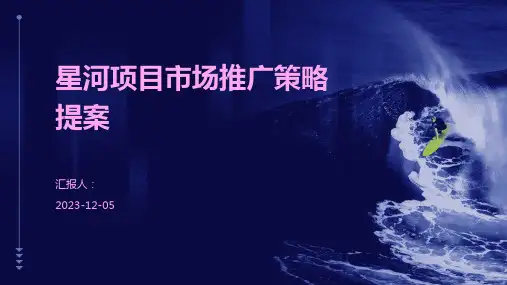 星河项目市场推广策略提案