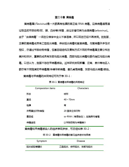 第三十章黄病毒