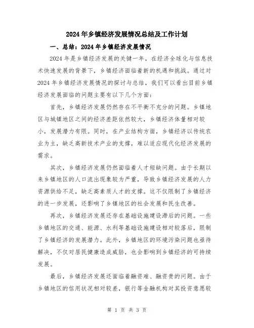 2024年乡镇经济发展情况总结及工作计划