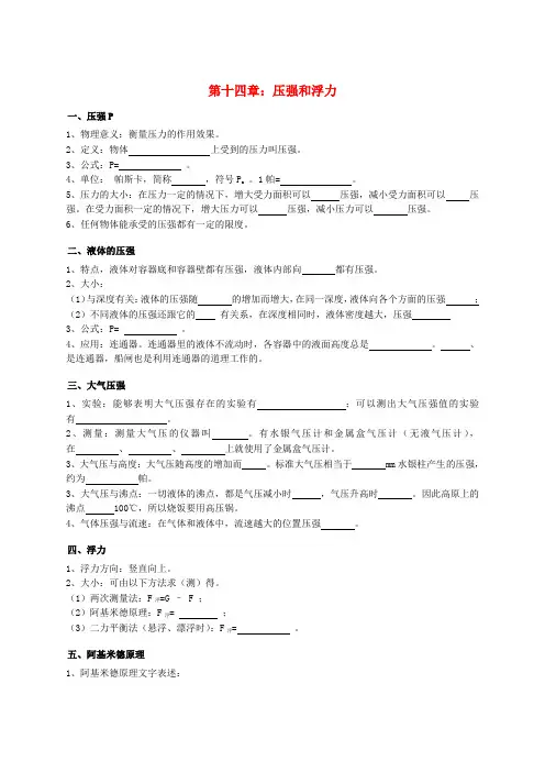 中考物理专项复习 压强和浮力