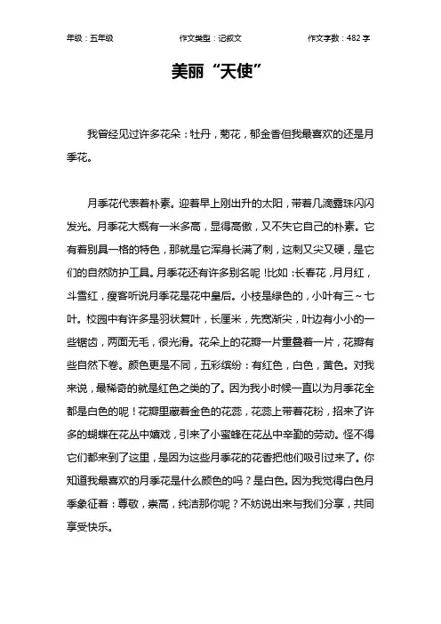 美丽“天使”作文【小学五年级500字】
