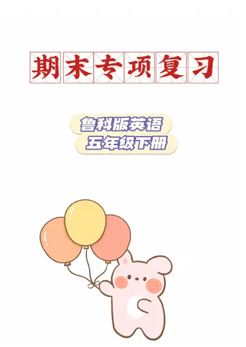 期末专项复习(讲义)鲁科版(五四学制)英语五年级下册