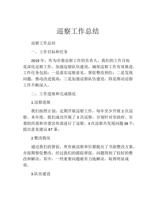巡察工作总结 (3)