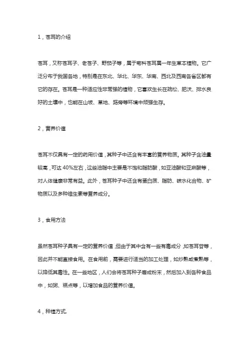 苍耳的介绍,营养价值,食用方法,种植方式,加工方法,发展前景