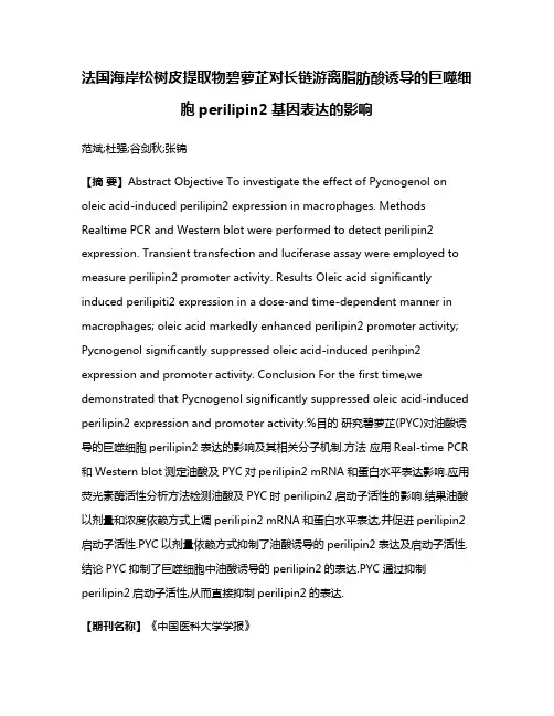 法国海岸松树皮提取物碧萝芷对长链游离脂肪酸诱导的巨噬细胞perilipin2基因表达的影响