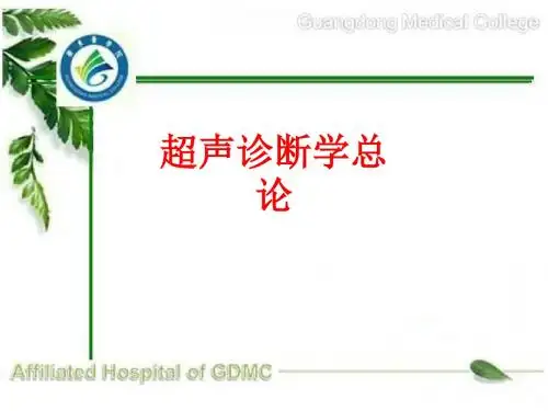[课件]超声诊断学总论PPT