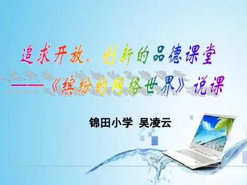 缤纷的网络世界