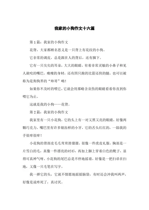 我家的小狗作文十六篇