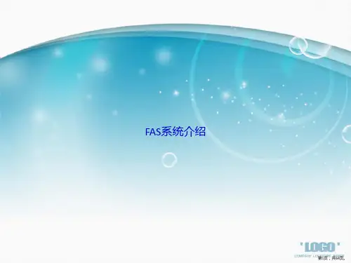 FAS系统介绍讲课文档