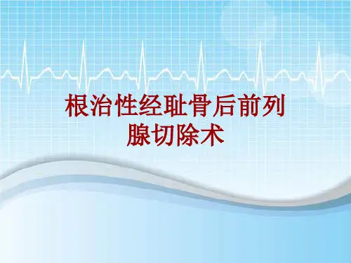 手术讲解模板：根治性经耻骨后前列腺切除术