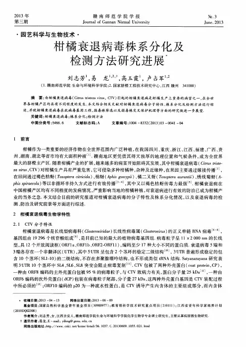 柑橘衰退病毒株系分化及检测方法研究进展