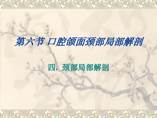 第六节  四、颈部局部解剖