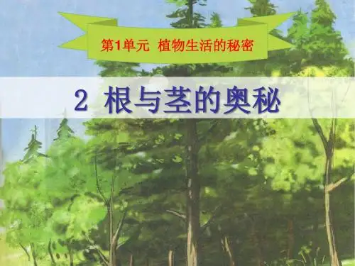 《根与径的奥秘》植物生活的秘密PPT实用课件