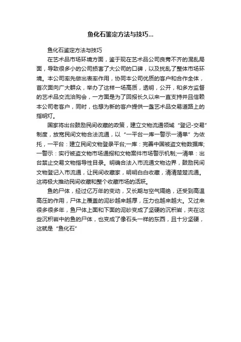 鱼化石鉴定方法与技巧...