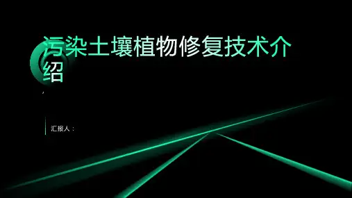 污染土壤植物修复技术介绍