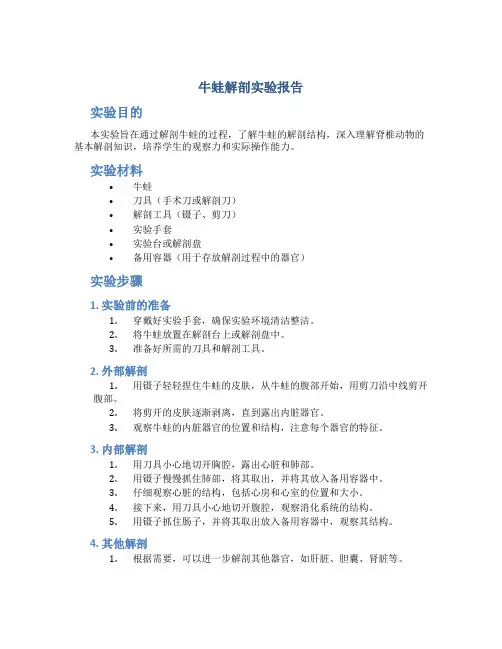牛蛙解剖实验报告