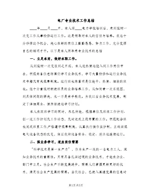 电厂专业技术工作总结（2篇）