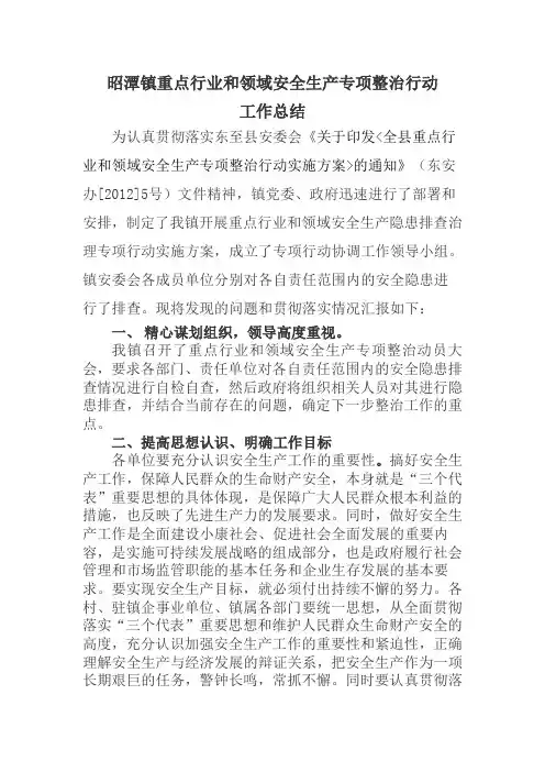 昭潭镇重点行业领域专项整治总结报告