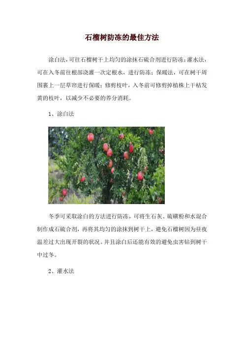 石榴树防冻的最佳方法