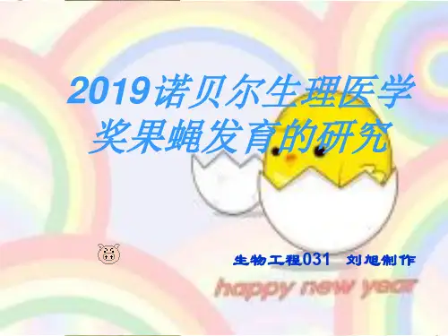 1995诺贝尔生理医学奖果蝇发育的研究