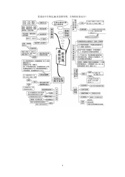 高中生物 思维导图