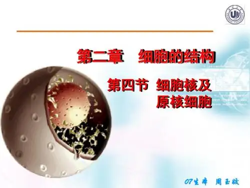 【高中生物】细胞核与原核生物ppt