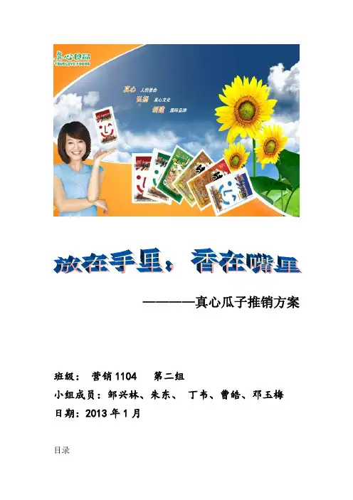真心瓜子推销