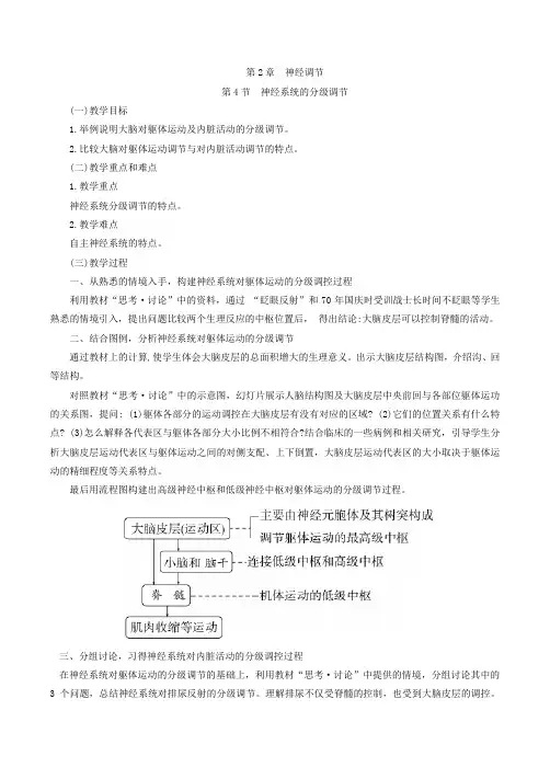 2.4 神经系统的分级调节 教学设计-高中生物人教版(2019)选择性必修1