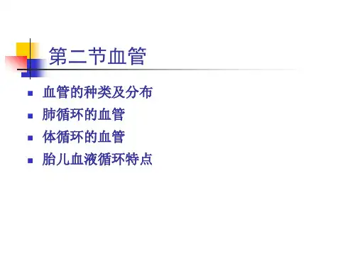《畜禽解剖学》教学课件：心血管系统2
