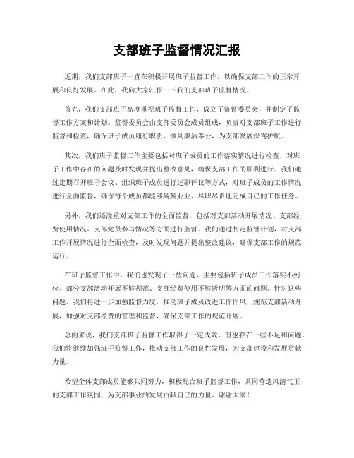 支部班子监督情况汇报