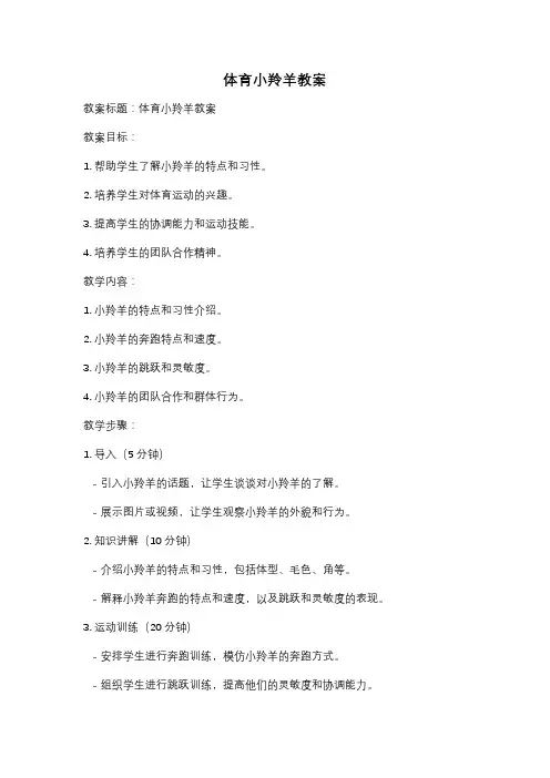 体育小羚羊教案