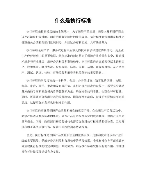 什么是执行标准