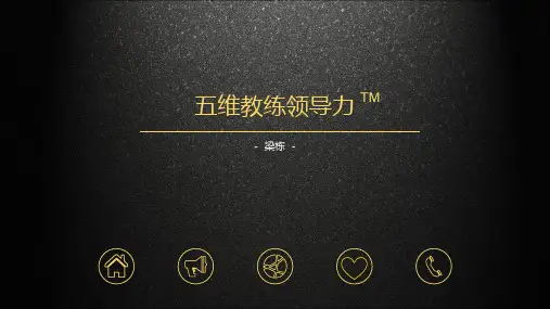 五维教练领导力-内训