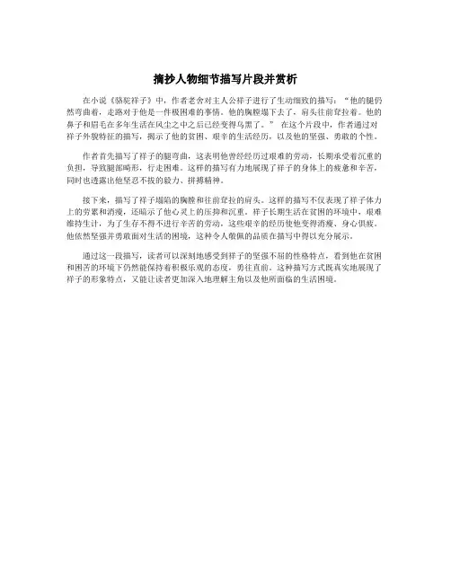 摘抄人物细节描写片段并赏析