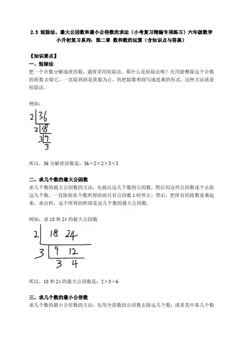 六年级数学小升初复习2.3 短除法、最大公因数和最小公倍数的求法(小考复习精编专项练习)第二章 数和