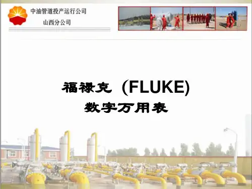 福禄克(FLUKE)数字万用表