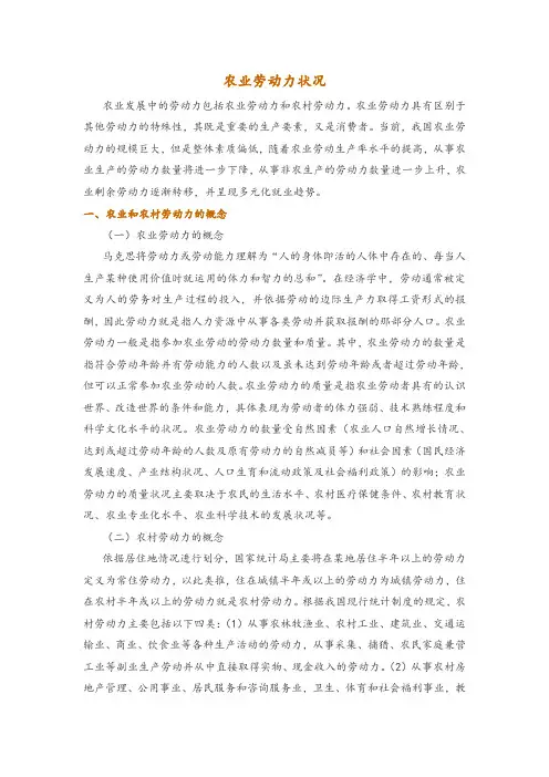 农业劳动力状况