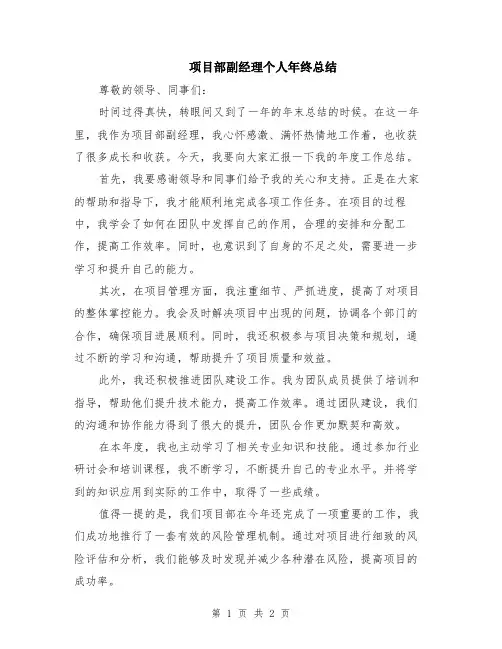 项目部副经理个人年终总结