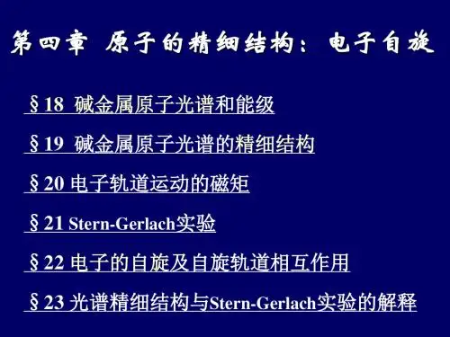 原子物理学第4章.