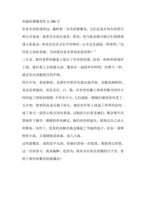 美丽的蔷薇花作文500字