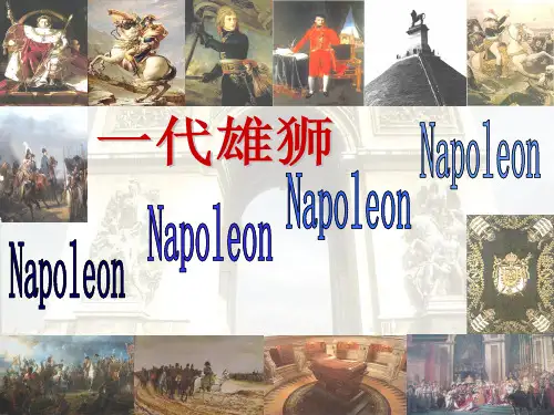 一代雄狮拿破仑ppt课件