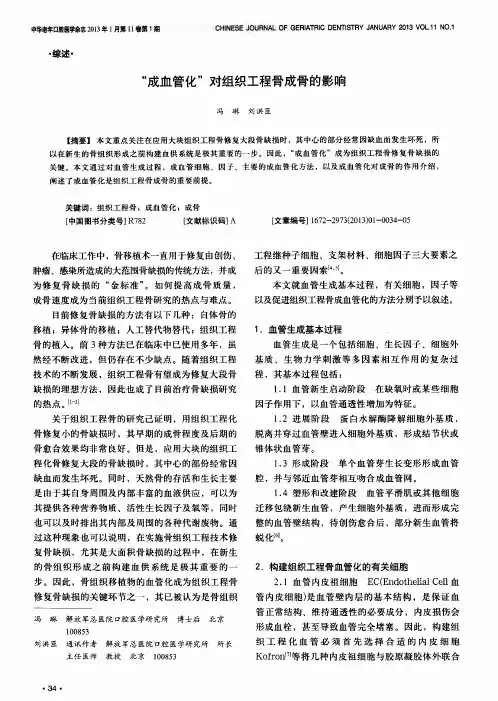 “成血管化”对组织工程骨成骨的影响