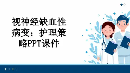 视神经缺血性病变：护理策略PPT课件